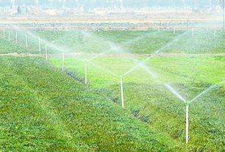 徐州市沣收喷灌设备与汽车销售的多元化发展